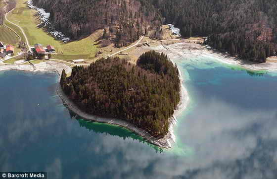 Сосновая любовь: Лес на берегу озера Вальхен в Баварских Альпах, Германия
