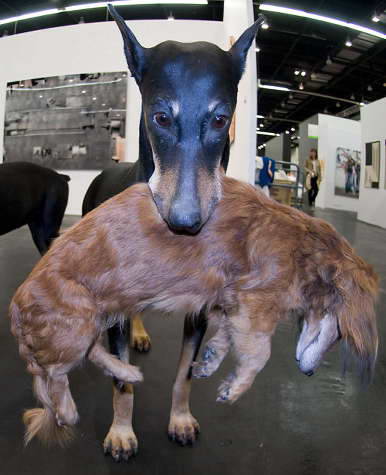 Art Cologne собаки